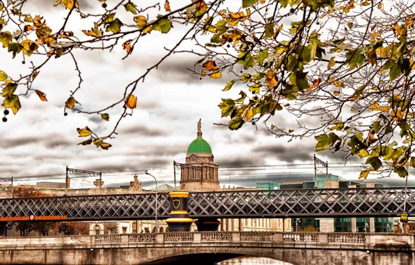 Осень, листья, ветки, мост, Ирландия, Дублин