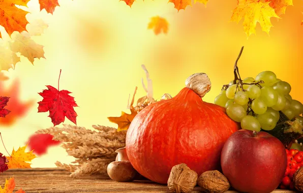 Картинка осень, листья, урожай, виноград, тыква, autumn, still life, fruits