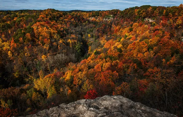 Картинка осень, лес, небо, деревья, скала