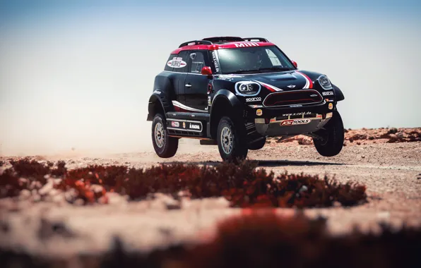 Mini, Черный, Спорт, Скорость, Гонка, Rally, Внедорожник, Ралли