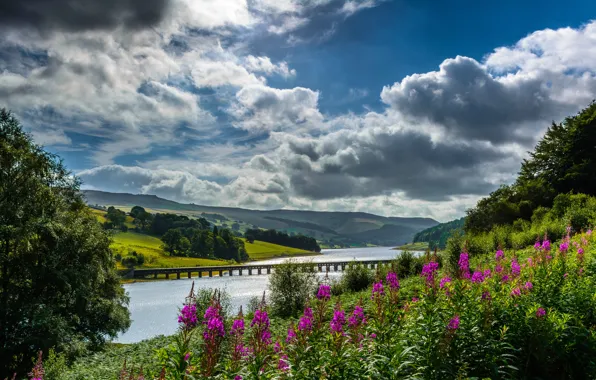 Облака, цветы, мост, Англия, долина, England, Derbyshire, Дербишир
