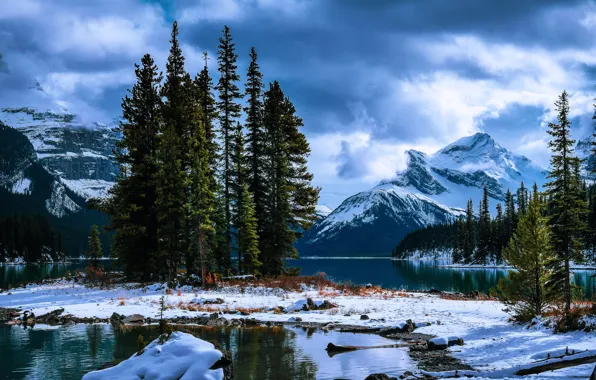 Картинка снег, деревья, пейзаж, горы, тучи, природа, ели, Канада