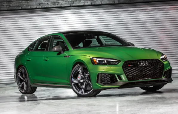 Audi, седан, RS5, Sportback, RS 5, 2019