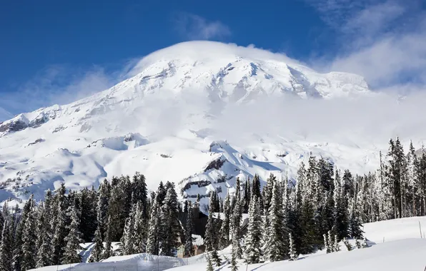 Картинка зима, лес, небо, гора, домик, National Park, Mount Rainier
