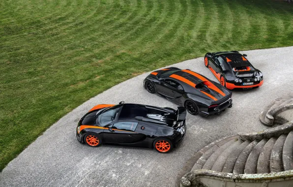 Газон, Bugatti, лестница, Veyron, 2010, 2013, Chiron, 2019