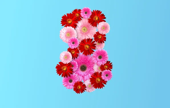 Цветы, цифра, розовые, 8 марта, pink, flowers, women's day