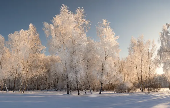Зима, иней, поле, лес, небо, свет, снег, природа