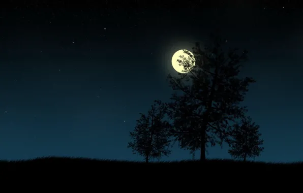 Картинка трава, звезды, деревья, ночь, луна