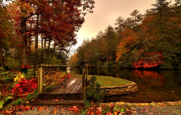 Картинка осень, лес, река, мостик