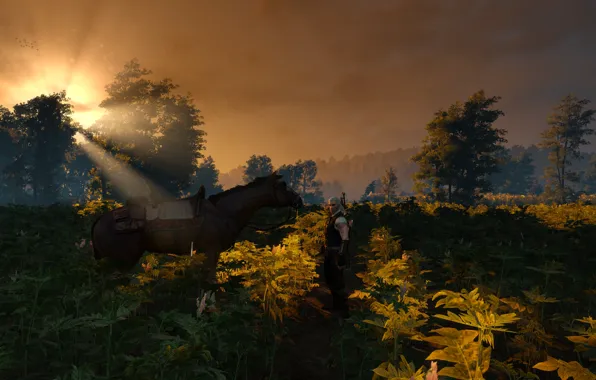 Закат, Меч, Воин, Броня, Ведьмак, The Witcher, Геральт, лощадь