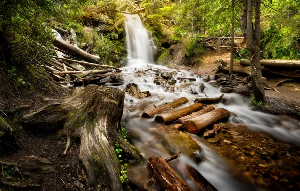 Картинка лес, горы, водопад, речка, Colorado, Rocky Mountains