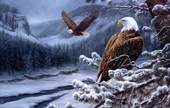 Картинка зима, лес, горы, орел, ели, орёл, живопись, орлы