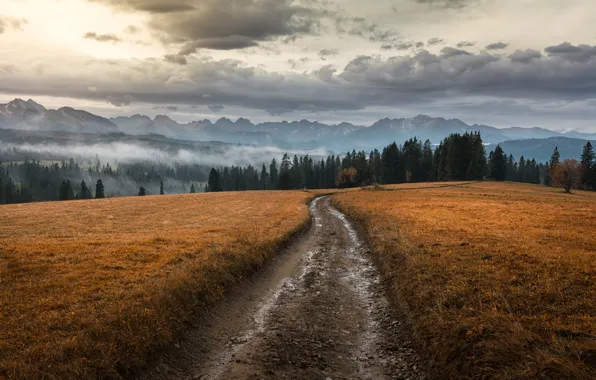 Дорога, лес, небо, горы, природа, вечер, Tomczak Michał