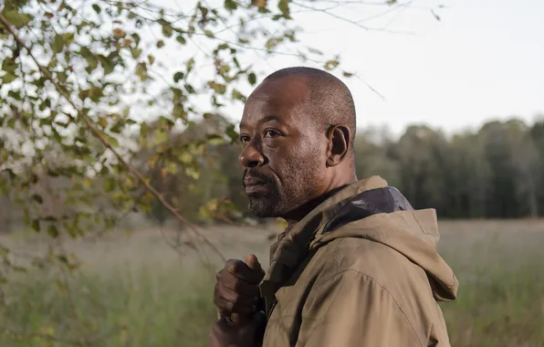 Morgan, The Walking Dead, Ходячие мертвецы, Lennie James