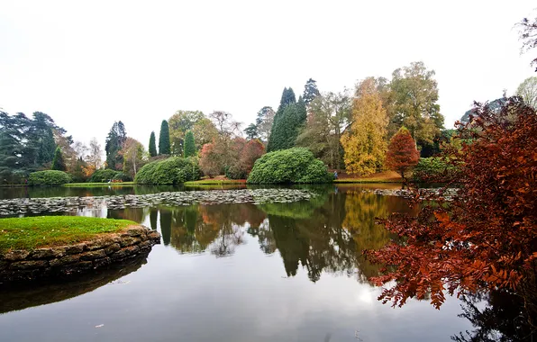 Осень, деревья, пруд, парк, Великобритания, Sheffield Park Garden