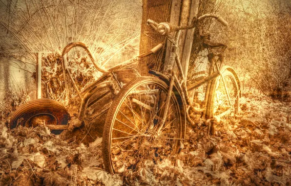 Картинка велосипед, фон, текстура