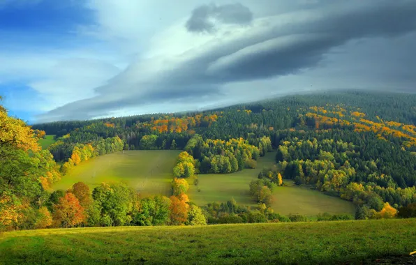 Картинка Czech Republic, Olomouc Region, autumn impressions, Dolni Udoli
