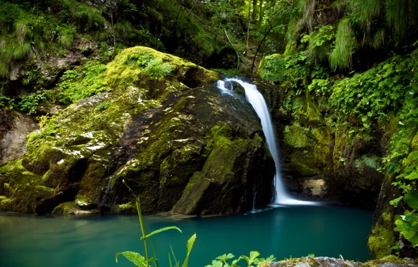 Картинка зелень, лес, камни, водопад, мох, Хорватия