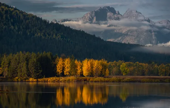 Осень, лес, горы, утро, США, штата Вайоминг, Гранд-Титон национальный парк, Oxbow Bend