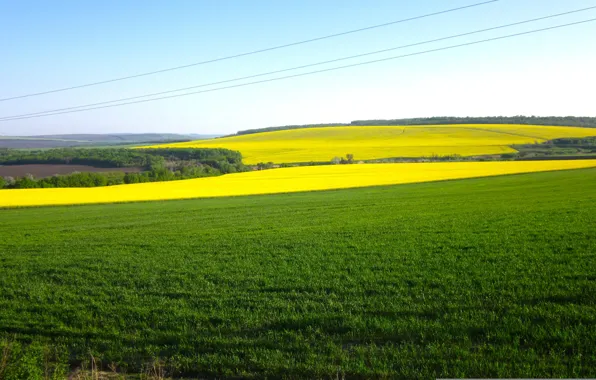 Картинка небо, трава, красота