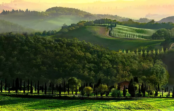 Картинка дорога, деревья, холмы, утро, Италия, Тоскана
