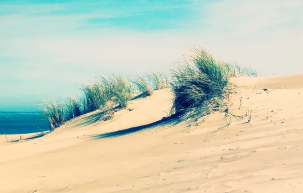 Картинка песок, море, пляж, трава