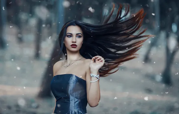 Девушка, ветер, волосы, макияж, Alessandro Di Cicco, The cold woods
