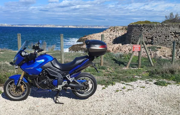 Marseille, Marseille, tiger • triumph • 1050