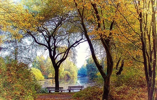 Картинка осень, озеро, парк, скамейки