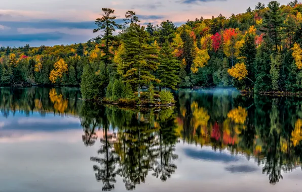 Осень, лес, деревья, озеро, парк, отражение, Канада, Онтарио