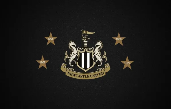 Wallpaper, logo, football, England, Champions, Newcastle United