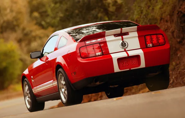 Shelby, GT500, Cobra