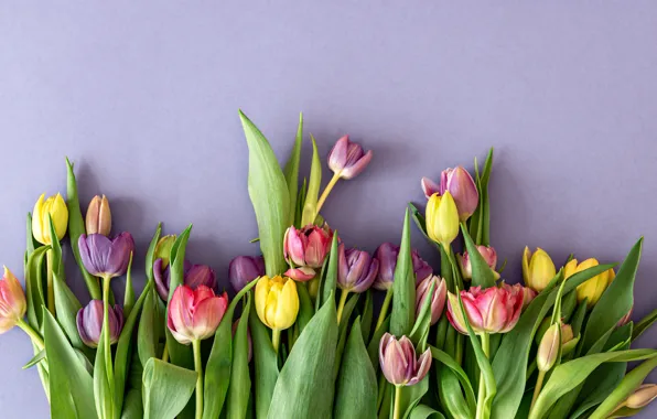 Картинка цветы, букет, весна, colorful, тюльпаны, fresh, pink, flowers