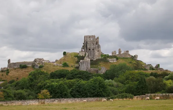 Развалины, руины, Corfe Castle, графство Дорсет, замок Корф, юг Англии, холмы Пурбэк