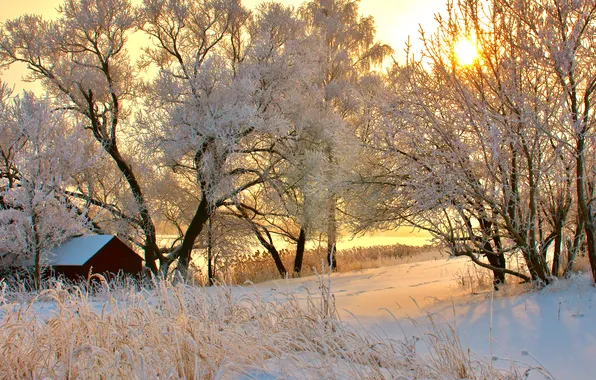 Зима, дорога, солнце, снег, деревья, закат, дом, заснеженные