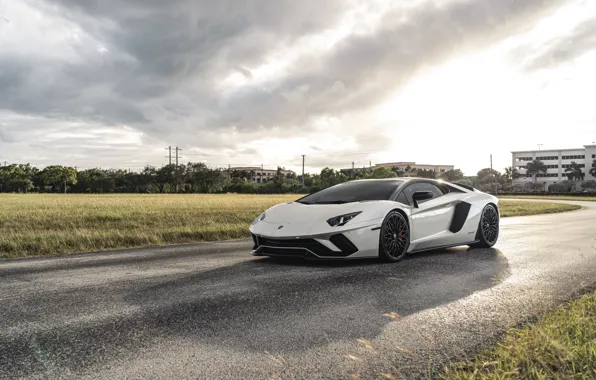 Картинка Lamborghini, Clouds, Sky, Grass, White, Aventador, VAG