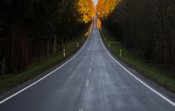 Картинка forest, road, landscape, highway