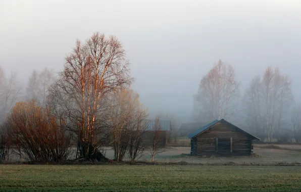 Туман, утро, сарай, берёзы, Sweden, Lapland, Övertorneå