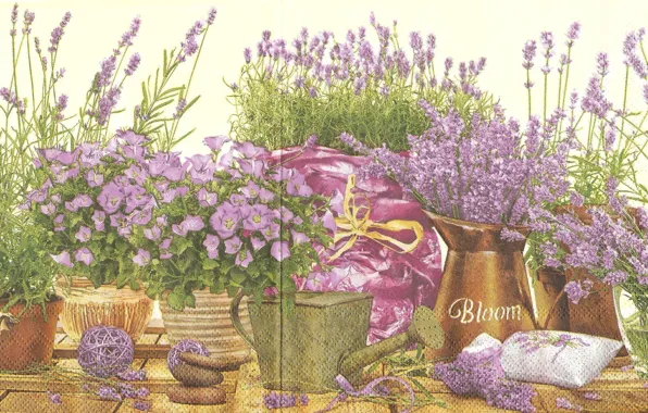 Фиолетовый, колокольчики, лаванда, Сиреневые цветы