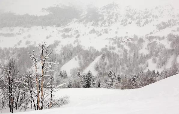 Картинка зима, снег, деревья, пейзаж, природа