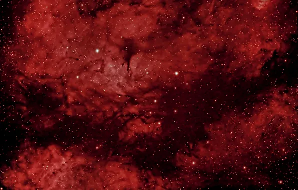 Картинка космос, туманность, звёзды, Бабочка, созвездие, HaRGB, (IC 1318)
