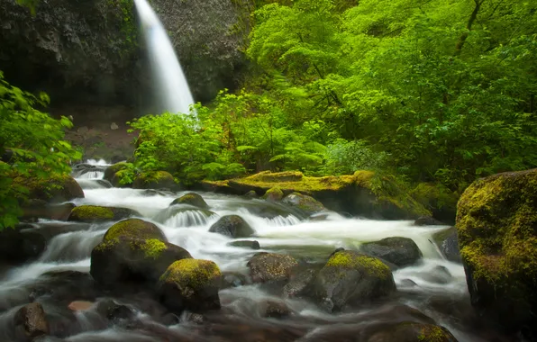 Картинка лес, река, камни, водопад, Oregon, Columbia River Gorge, Ponytail Falls
