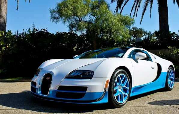 Картинка Bugatti Veyron, гиперкар, белый цвет, иномарка