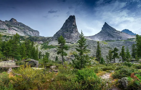 Картинка деревья, Скалы, Озеро, Сосны, trees, Rocks, Lake, Pine