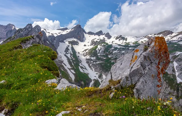 Картинка Природа, Швейцария, summer Ageteplatte, Aplstein Appenzellerland Hiking landscape mountain