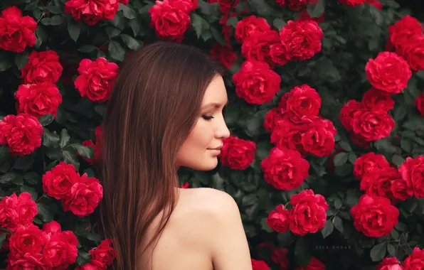 Картинка девушка, цветы, лицо, портрет, розы, профиль, плечо, длинные волосы