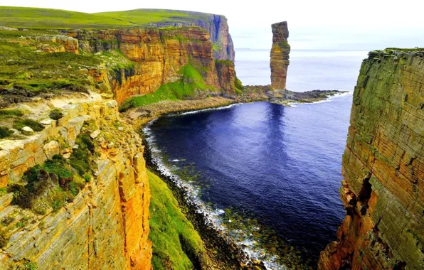 Grass, ocean, rocks