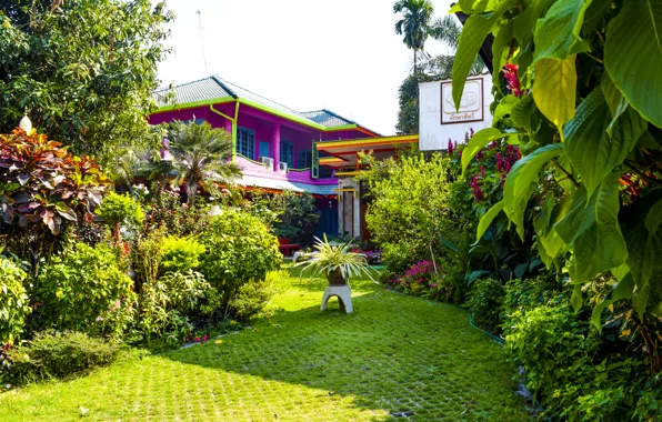 Thailand, Chiang Mai, ManNing