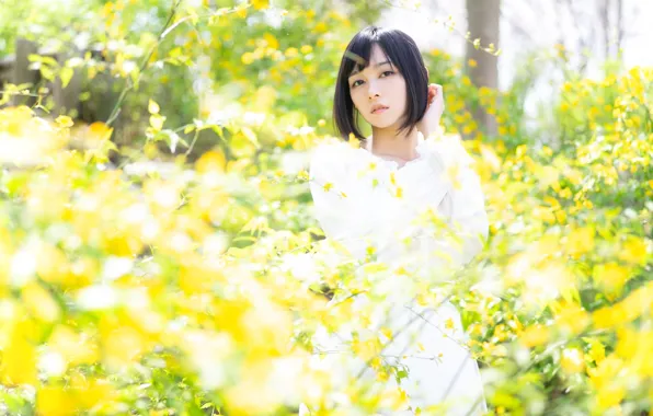 Картинка листья, девушка, свет, цветы, ветки, желтый, настроение, листва