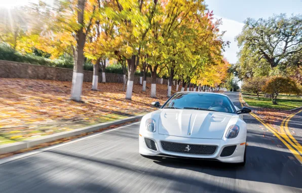 Картинка car, Ferrari, white, road, 599, trees, Ferrari 599 GTO
